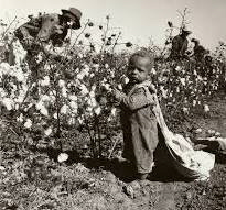 Child picking cotton