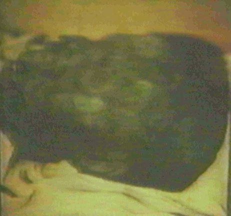 Mummy of Thutmose IV