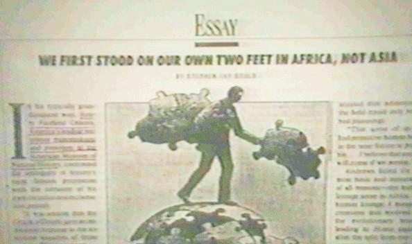 We first stood in Africa not Asia